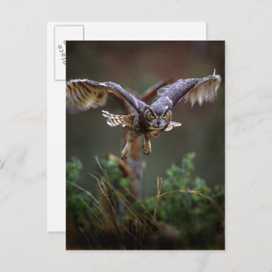 アメリカ, ジョージア州, パインマウンテン, キャラウェイガーデンズ ポストカード (正面/裏面)