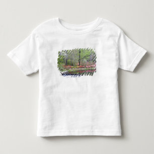 アメリカ, ジョージア州, パインマウンテン。小さな滝 トドラーTシャツ