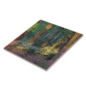 アメリカ、ジョージア、カラウェイガーデン、アザレアの森。 タイル (側面)