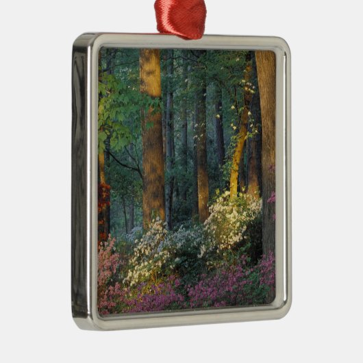 アメリカ、ジョージア、カラウェイガーデン、アザレアの森。 メタルオーナメント (右)