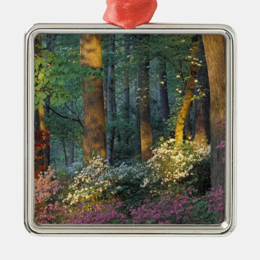 アメリカ、ジョージア、カラウェイガーデン、アザレアの森。 メタルオーナメント (正面)