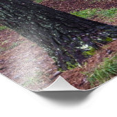 アメリカ、ジョージア、キャラウェイ・ガーデン。経路 フォトプリント            (角)