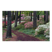 アメリカ、ジョージア、キャラウェイ・ガーデン。経路 フォトプリント (正面)