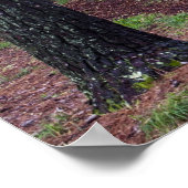 アメリカ、ジョージア、キャラウェイ・ガーデン。経路 ポスター (角)