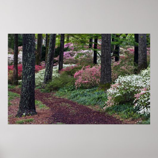 アメリカ、ジョージア、キャラウェイ・ガーデン。経路 ポスター (正面)