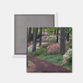 アメリカ、ジョージア、キャラウェイ・ガーデン。経路 マグネット (正面/裏面)