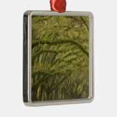 アメリカ；ジョージア。サバンナ。〜のあるオークの木 メタルオーナメント (右)