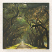 アメリカ、ジョージア、サバンナ、オーク並木ドライブ ガラスコースター (正面)