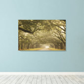 アメリカ、ジョージア、サバンナ、オーク並木ドライブ キャンバスプリント (インサイチュ (ウッドフロア))