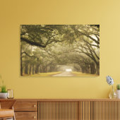 アメリカ、ジョージア、サバンナ、オーク並木ドライブ キャンバスプリント (インサイチュ (リビング))