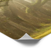 アメリカ、ジョージア、サバンナ、オーク並木ドライブ ポスター (角)