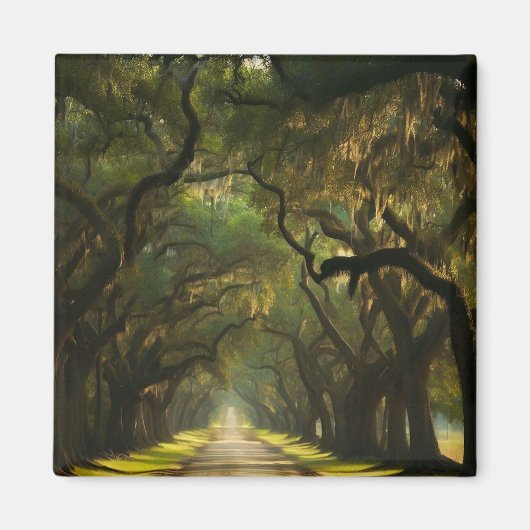 アメリカ、ジョージア、サバンナ、オーク並木ドライブ マグネット (正面)