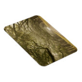 アメリカ、ジョージア、サバンナ、オーク並木ドライブ マグネット (右側)