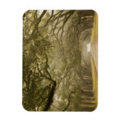 アメリカ、ジョージア、サバンナ、オーク並木ドライブ マグネット (縦)