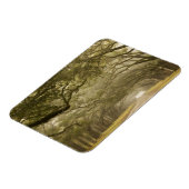 アメリカ、ジョージア、サバンナ、オーク並木ドライブ マグネット (左側)