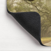 アメリカ、ジョージア、サバンナ、オーク材で囲まれたドライブイン マウスパッド (コーナー)