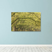 アメリカ；ジョージア；サバンナ。オーク材 キャンバスプリント (インサイチュ (ウッドフロア))