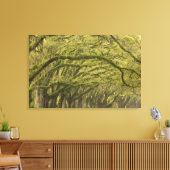 アメリカ；ジョージア；サバンナ。オーク材 キャンバスプリント (インサイチュ (リビング))