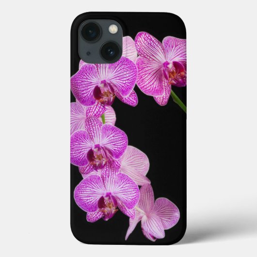 アメリカ、ジョージア、サバンナ、ラン群2 Case-Mate iPhoneケース (裏面)