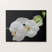 アメリカ、ジョージア、サバンナ、ラン群 ジグソーパズル (横)