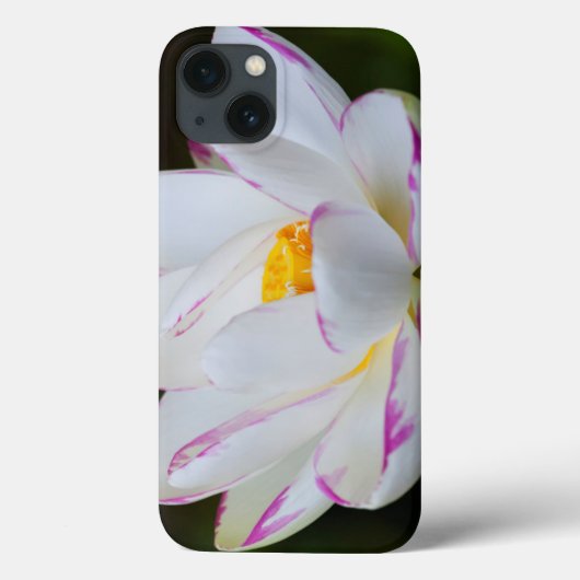 アメリカ、ジョージア、サバンナ、ルータス·フラワー·ブルーミング Case-Mate iPhoneケース (裏面)