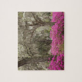 アメリカ、ジョージア、サバンナ、春at Historic ジグソーパズル (縦)