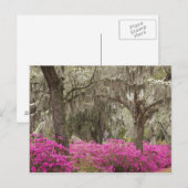 アメリカ、ジョージア、サバンナ、春at Historic ポストカード (正面/裏面)