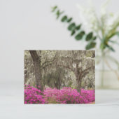 アメリカ、ジョージア、サバンナ、春at Historic ポストカード (スタンド正面)