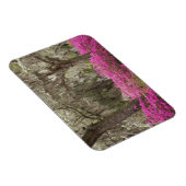 アメリカ、ジョージア、サバンナ、春at Historic マグネット (右側)