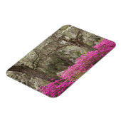 アメリカ、ジョージア、サバンナ、春at Historic マグネット (左側)