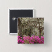 アメリカ、ジョージア、サバンナ、春at Historic 缶バッジ (正面&裏面)