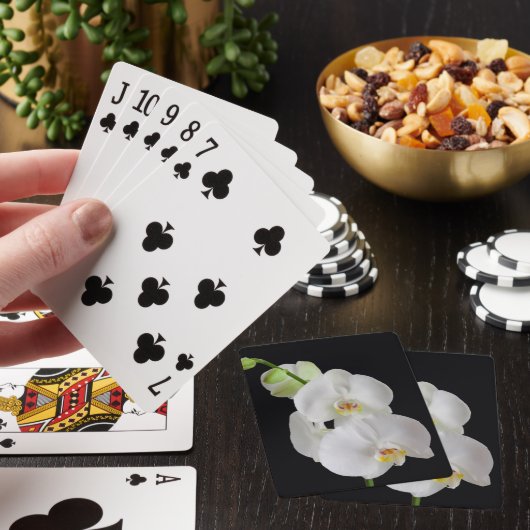 アメリカ,ジョージア,サバンナ,蘭の群れ トランプ (インサイチュ)