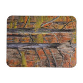 アメリカ，ジョージア，ジョージスミス州パーク，ヒノキ マグネット (横)