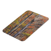 アメリカ，ジョージア，ジョージスミス州パーク，ヒノキ マグネット (左側)