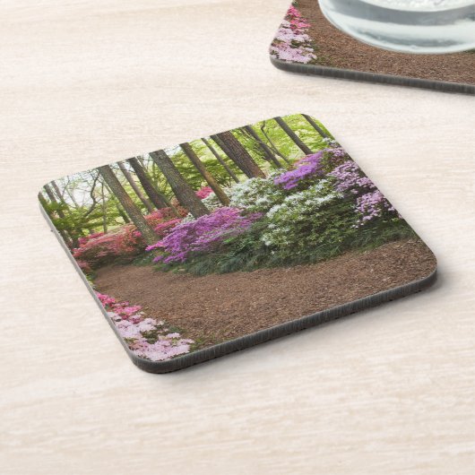 アメリカ、ジョージア、パインマウンテン。〜を通る経路 コースター (左側)