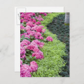 アメリカ、ジョージア、パインマウンテン。春 ポストカード (正面/裏面)