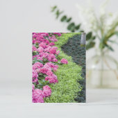 アメリカ、ジョージア、パインマウンテン。春 ポストカード (スタンド正面)