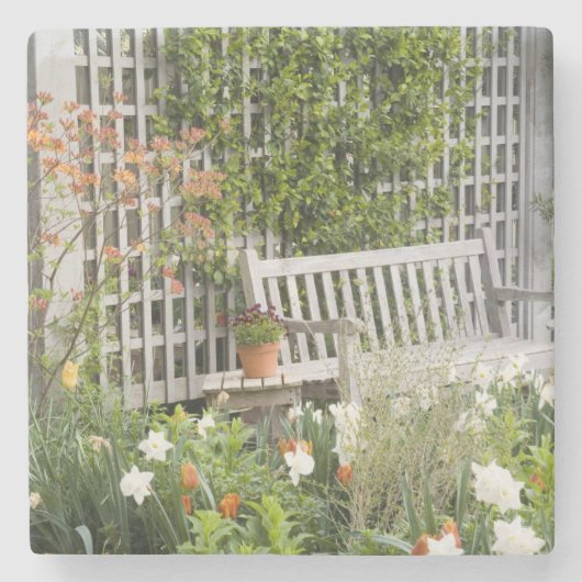 アメリカ、ジョージア、パインマウンテン。椅子 ストーンコースター (正面)