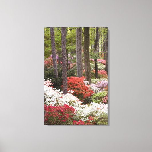 アメリカ、ジョージア、パイン山。～の森 キャンバスプリント (正面)