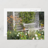 アメリカ、ジョージア、パイン山。の椅子 ポストカード (正面/裏面)