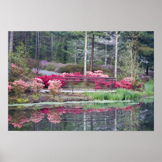 アメリカ、ジョージア、パイン山。エリアの表示方法 ポスター (正面)