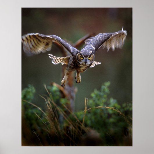 アメリカ、ジョージア、パイン山、キャラウェイ庭園。 ポスター (正面)