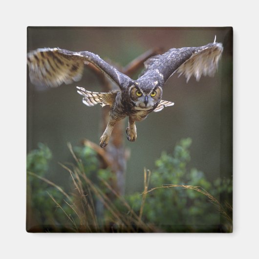 アメリカ、ジョージア、パイン山、キャラウェイ庭園。 マグネット (正面)