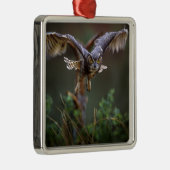 アメリカ、ジョージア、パイン山、キャラウェイ庭園。 メタルオーナメント (右)