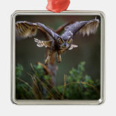 アメリカ、ジョージア、パイン山、キャラウェイ庭園。 メタルオーナメント (正面)