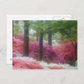 アメリカ；ジョージア；パイン山。ツツツジ ポストカード (正面/裏面)