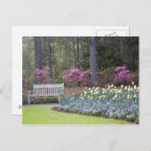 アメリカ、ジョージア、パイン山。一縁どつ ポストカード (正面/裏面)