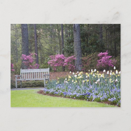 アメリカ、ジョージア、パイン山。一縁どつ ポストカード (正面)