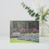 アメリカ、ジョージア、パイン山。一縁どつ ポストカード (スタンド正面)