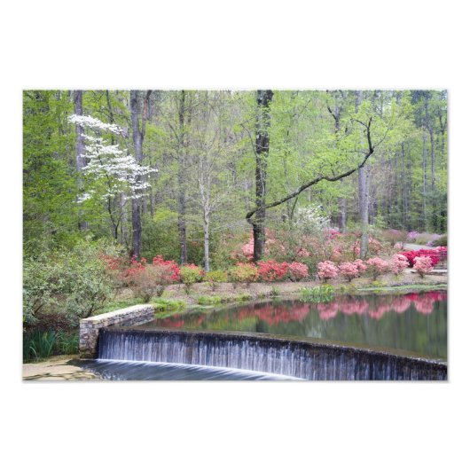 アメリカ、ジョージア、パイン山。小さな滝 フォトプリント            (正面)